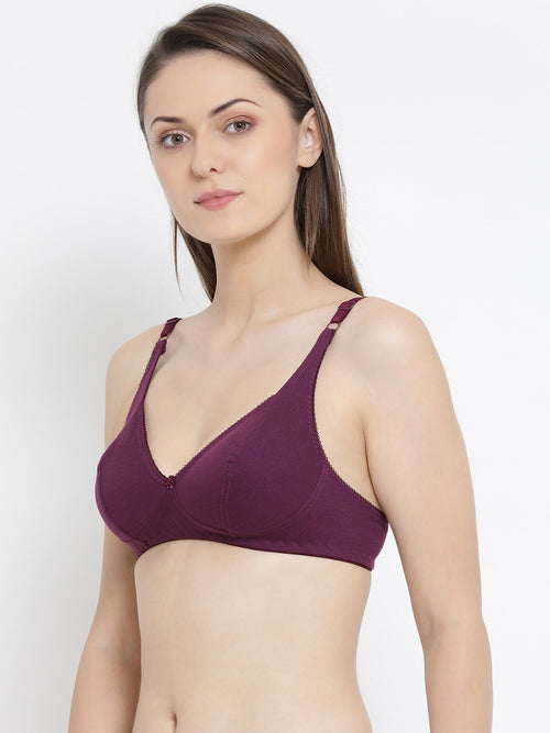 Softline Women's Non Padded Wire Free Bra in Poly Cotton Fabric with Elastic Straps and Hook Closure (C Cup)