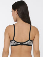 Softline Women's Padded Wire Free Bra in Spandex Nylon Fabric with Elastic Straps and Hook Closure