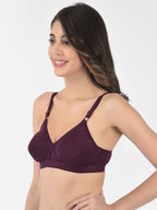 Softline Women's Non Padded Wire Free   T-shirt  Bra in Cotton Poly Fabric with Cross Neck Elastic Straps, Double Layered Moulded Cups, and Hook Closure (2051)