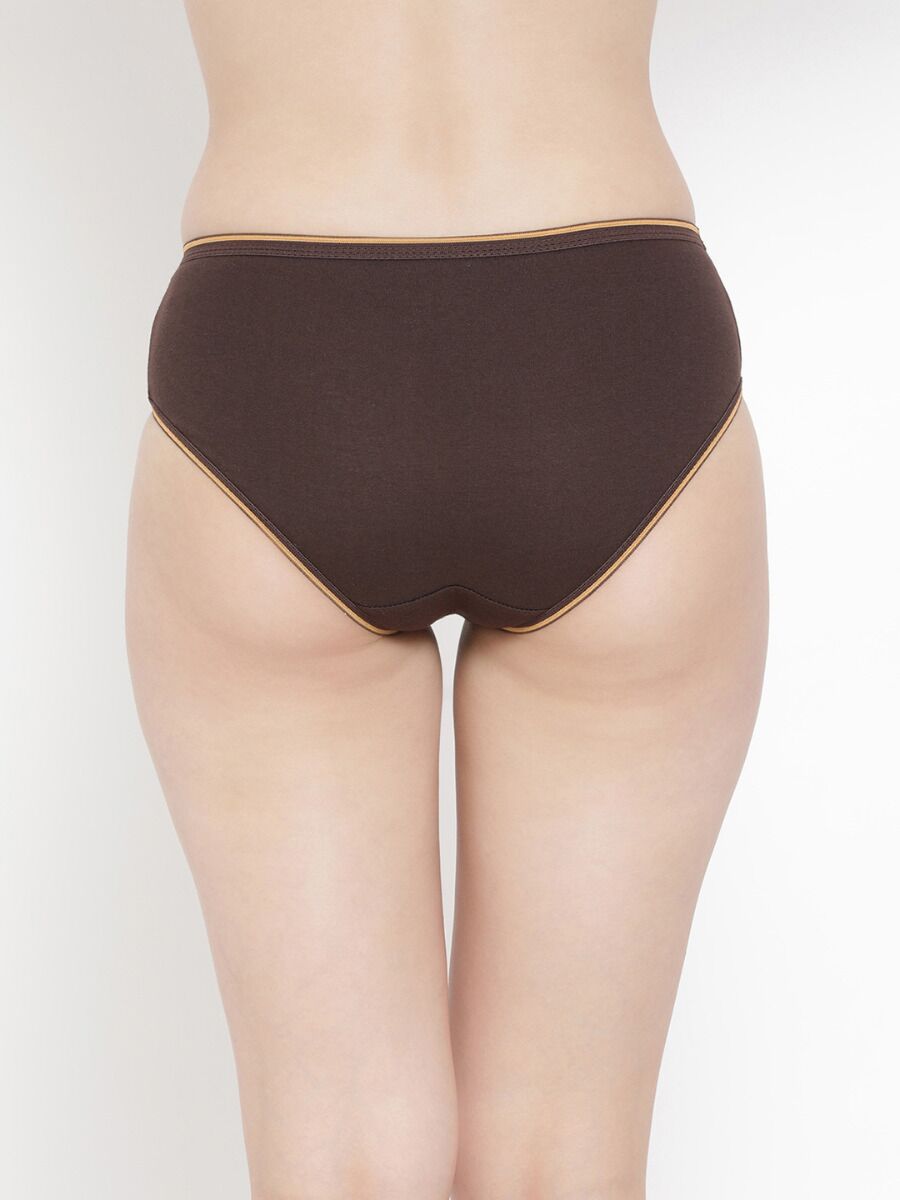 Softline 8200 Outer Elastic Comfort Premium Panty Assorted Colour Pack Of 3