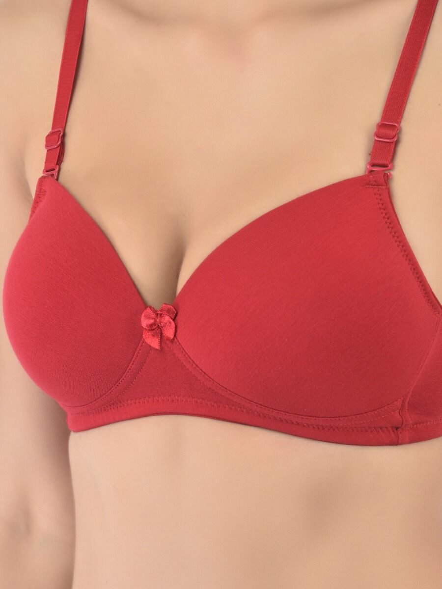 Softline Women's Padded Wire Free  T-Shirt Bra in Cotton Stretch Fabric with Elastic Straps, Full Cup design, and Hook Closure (B-Cup )