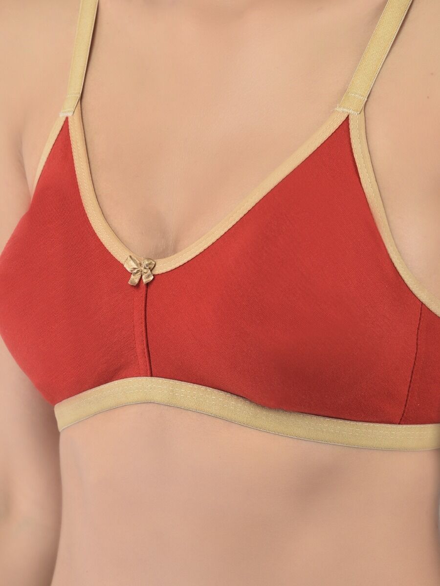 Softline Women's Soft Non Padded Wire free Bra in 100% Polyester Fabric with Elastic Straps and Hook Closure