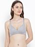 Softline New Sophia Regular Fancy Fit C-Cup Bra Assorted Colour Pack Of 1