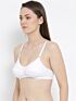 Softline Sania Foam Cup Fancy Fit Bra Assorted Colour Pack Of 1