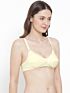 Softline Bra New Surbhi Foam | Non-Padded | Wire-Free Everyday Comfort