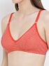 Softline Women's Non Padded Wire Free Bra & Panty Set in 100% Polyester Fabric with Elastic Straps and Hook Closure 