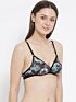 Softline Women's Padded Wire free T-Shirt Bra in 100% Cotton Fabric with Elastic Straps and Hook Closure