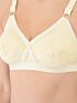Softline Women's Non Padded Wire Free Bra in 100% Shifley Embroidery Cotton Fabric with  Full Coverage Cups, Broad Elastic Straps, and Hook Closure