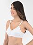 Softline Women's Non Padded Wire Free Bra in 100% Cotton Fabric with Full Coverage Cups, Elastic Straps, and Hook Closure