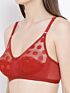 Softline Bra Christina | Soft Non-padded | Stretchable Everyday Comfort Bra
