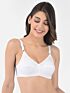 Softline Women's Non Padded Wire Free Bra in 100% Cotton Fabric with Full Coverage Cups, Elastic Straps, and Hook Closure (C-Cup )