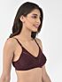 Softline Butterfly 2054 Sculpted Comfort C-Cup Seamless Rounded Shape Bra Assorted Colour Pack Of 1
