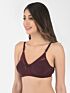 Softline Butterfly 2054 Sculpted Comfort C-Cup Seamless Rounded Shape Bra Assorted Colour Pack Of 1