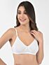 Softline Butterfly 2054 Sculpted Comfort B-Cup Seamless Rounded Shape Bra Assorted Colour Pack Of 1