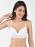 Softline Women's Padded Wire Free  T-Shirt Bra in Cotton Stretch Fabric with Elastic Straps, Full Cup design, and Hook Closure (C-Cup )