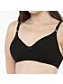 Softline Women's Non Padded Wire Free Everyday Bra in Cotton Poly Fabric with Elastic Straps and Hook Closure (C Cup)