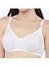 Softline Women's Non Padded Wire Free Everyday Bra in Cotton Poly Fabric with Elastic Straps and Hook Closure (C Cup)