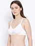 Softline Women's Non Padded Wire Free Bra in Cotton Poly Fabric with Elastic Straps and Hook Closure 