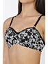 Softline Bra Jiya | Smooth Padded | Wire-Free Everyday Comfort