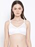 Softline Bra Lilly | Ultra-Soft & Stretchable | Non-Padded Everyday Bra