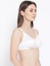 Softline Bra Lilly | Ultra-Soft & Stretchable | Non-Padded Everyday Bra