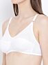 Softline Bra Lilly | Ultra-Soft & Stretchable | Non-Padded Everyday Bra