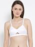 Softline Bra Lovely Foam | 100% Cotton | Lightly Padded Everyday Assorted colour Bra