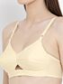 Softline Bra Lovely Foam | 100% Cotton | Lightly Padded Everyday Assorted colour Bra
