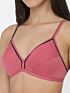 Softline Bra Muskan | Soft Non-Padded | Wire-Free Everyday Comfort