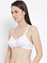 Softline Bra Neelam | Soft Non-Padded | Wire-Free Everyday Comfort