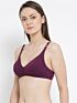 Softline New Sophia Regular Fancy Fit C-Cup Bra Assorted Colour Pack Of 1