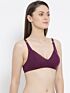 Softline New Sophia Regular Fancy Fit C-Cup Bra Assorted Colour Pack Of 1