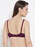 Softline New Sophia Regular Fancy Fit C-Cup Bra Assorted Colour Pack Of 1