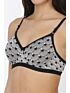 Softline Bra Nitya | Padded | Wire-Free Everyday Comfort