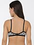 Softline Women's Padded Wire Free Bra in Spandex Nylon Fabric with Elastic Straps and Hook Closure