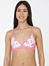 Softline Bra Priyanka | Non-Padded | Wire-Free Everyday Comfort