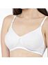 Softline Bra Rangoli | Non-Padded | Wire-Free Everyday Comfort