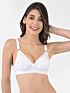 Softline Women's Non Padded Wire Free Bra in 100% Shifley Embroidery Cotton Fabric with  Full Coverage Cups, Broad Elastic Straps, and Hook Closure