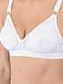 Softline Women's Non Padded Wire Free Bra in 100% Shifley Embroidery Cotton Fabric with  Full Coverage Cups, Broad Elastic Straps, and Hook Closure