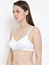 Softline Bra Shelly | Non-Padded | Wire-Free Everyday Comfort