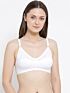 Softline Bra Sneha | Non-Padded | Wire-Free Everyday Comfort