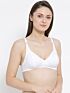 Softline Sophia Regular Fancy Fit Bra Assorted Colour Pack Of 1