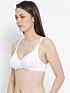 Softline Sophia Regular Fancy Fit Bra Assorted Colour Pack Of 1