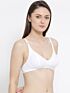 Softline Sophia Regular Fancy Fit Bra Assorted Colour Pack Of 1