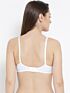 Softline Bra Trendy | Non-Padded | Wire-Free Everyday Comfort