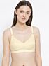 Softline Bra Trinity | 100% Cotton | Non-Padded Everyday Comfort