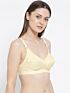 Softline Bra Trinity | 100% Cotton | Non-Padded Everyday Comfort