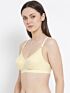 Softline Bra Trinity | 100% Cotton | Non-Padded Everyday Comfort
