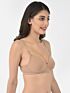 Softline Women's Padded Wire Free T-Shirt Bra in Cotton Stretch Fabric with Elastic Straps, Full Cup design, and Hook Closure
