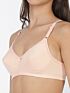 Softline Women's Lightly Padded Wire Free Bra in 100% Polyester Fabric with Elastic Straps and Hook Closure